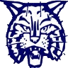 McNairy Central logo