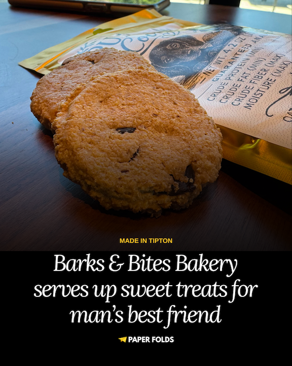 From breakfast plates to dog bakery: How four dachshunds inspired a business